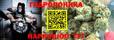 прущая мука Гатчина