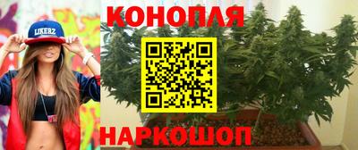 прущая мука Гай