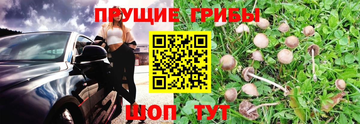 Галлюциногенные грибы Magic Shrooms  Псилоцибиновые грибы Psilocybine cubensis  Вход с VPN  Нефтекамск 