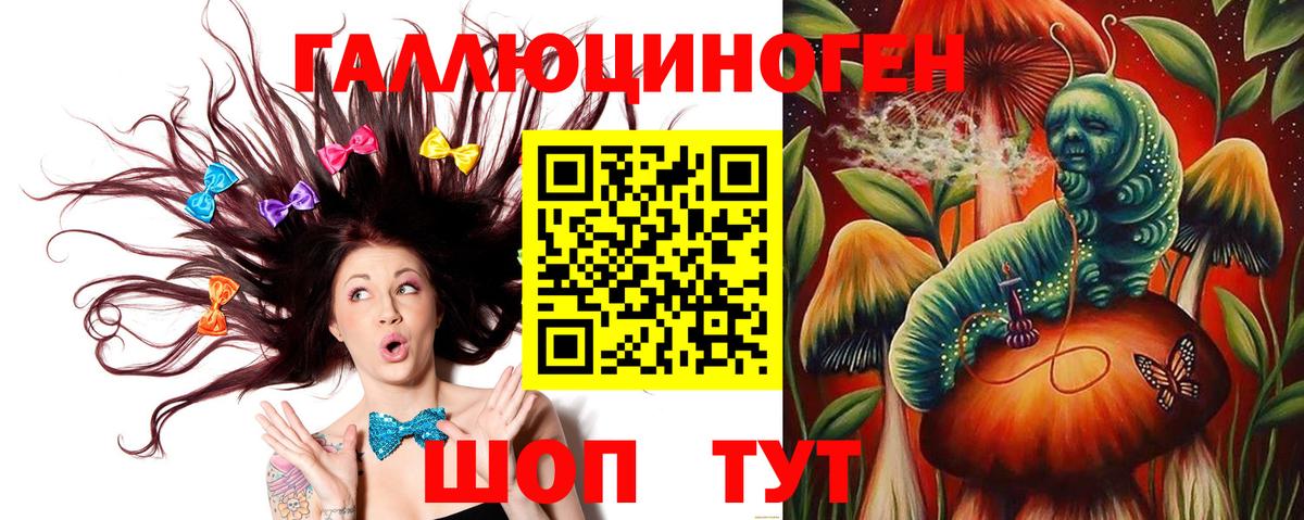 Галлюциногенные грибы Psilocybe Нефтекамск